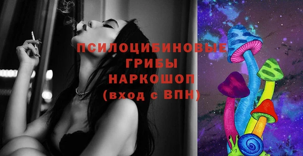винт Гусиноозёрск