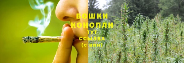 винт Гусиноозёрск
